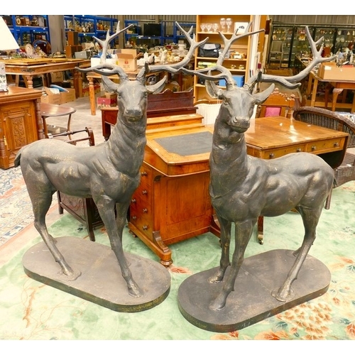 3214 - Pair of Cast Metal Stags 133cm in height to tallest point and 96cm in length.