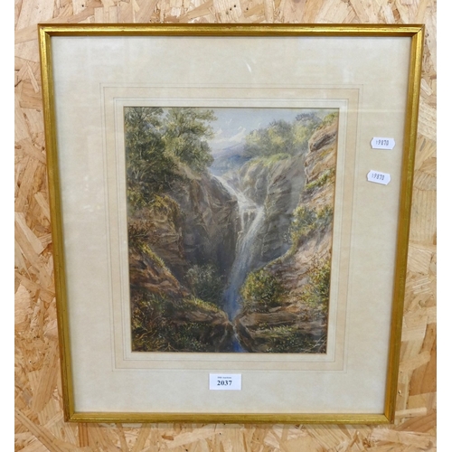 Lot 2037      
