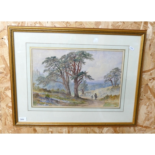 Lot 2046      