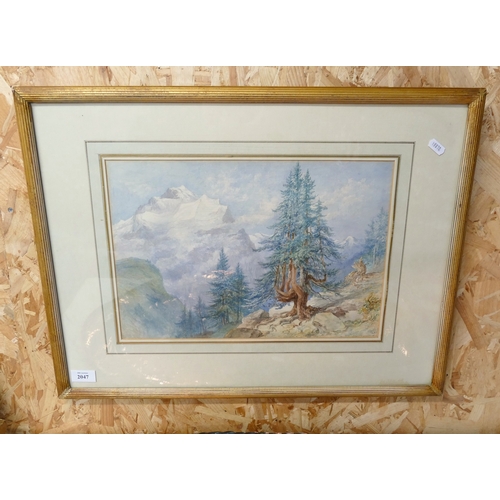 Lot 2047      