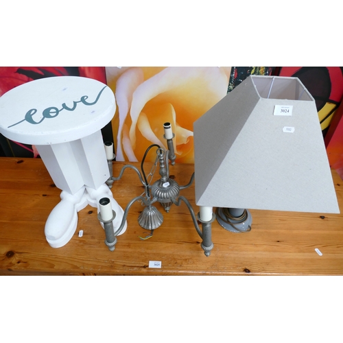 Lot 3024      