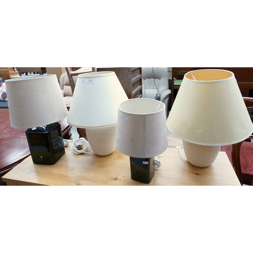 Lot 3031      