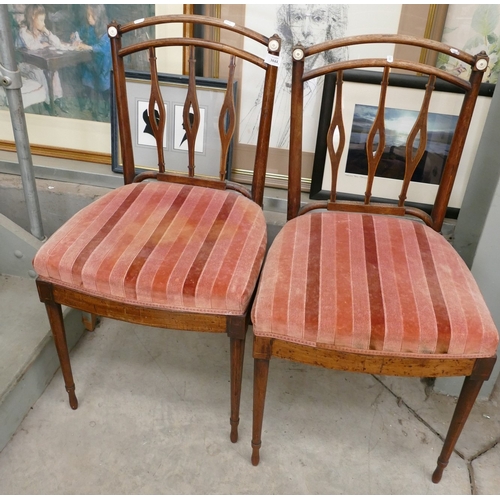 Lot 3044      