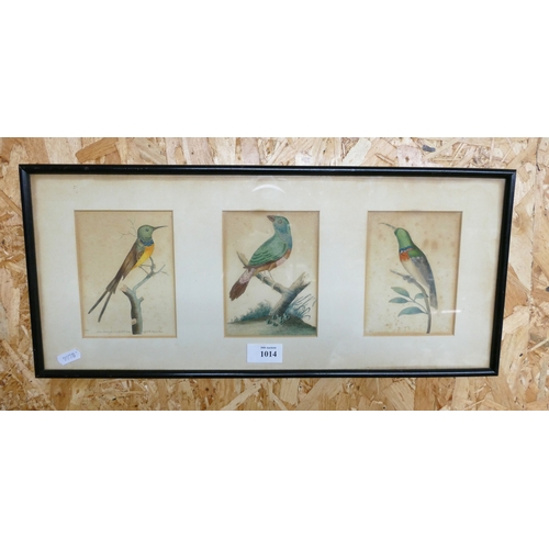 Lot 1014      