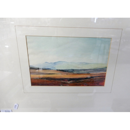 Lot 2029      