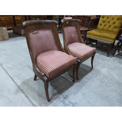 558 - A pair of 19th century carved mahogany slipper chairs, the arm terminals carved with swan heads
