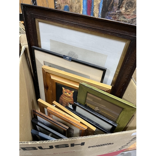 47 - Three boxes of pictures