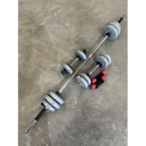 382 - A set of exercise barbell weights