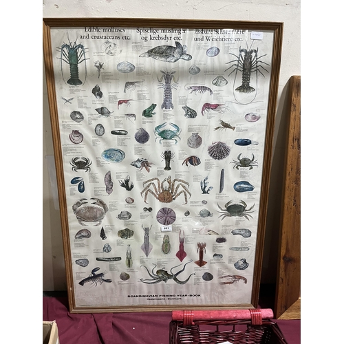 521 - A framed Scandinavian Fishing Year-Book poster. 39' x 27'