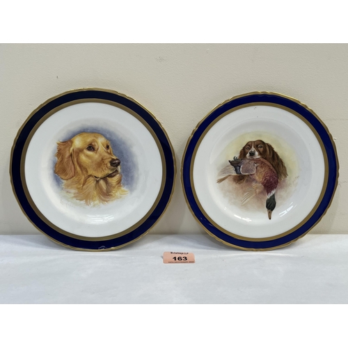 163 - A pair of plates painted with a retriever or a spaniel with mallard by Leighton (Worcester artist). ... 