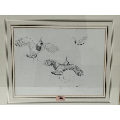 178 - PHILIP RICKMAN. BRITISH 1891-1982 Lapwings in Flight . Signed. Pencil drawing 11½' x 15'