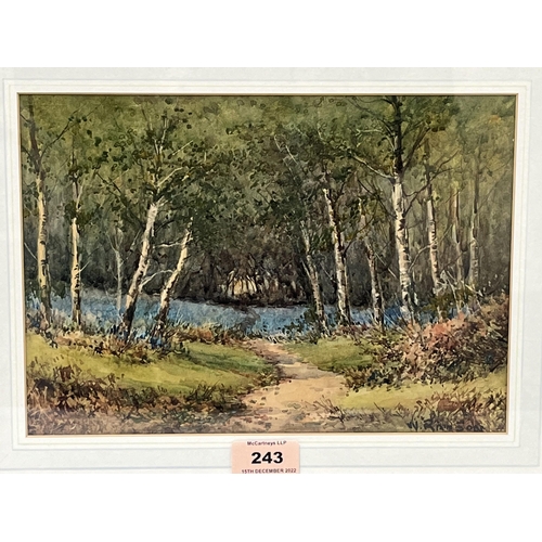 Lot 243       