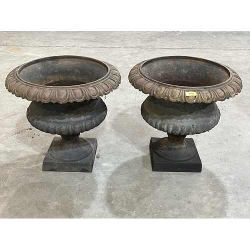 441 - A pair of cast iron campana form urns with egg and dart rims and gadrooned bodies on square bases. 1... 