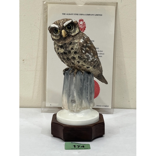 174 - An Albany China Little Owl, modelled by David Burnham Smith. Boxed with certificate. 7½' high