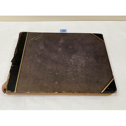 Lot 137       