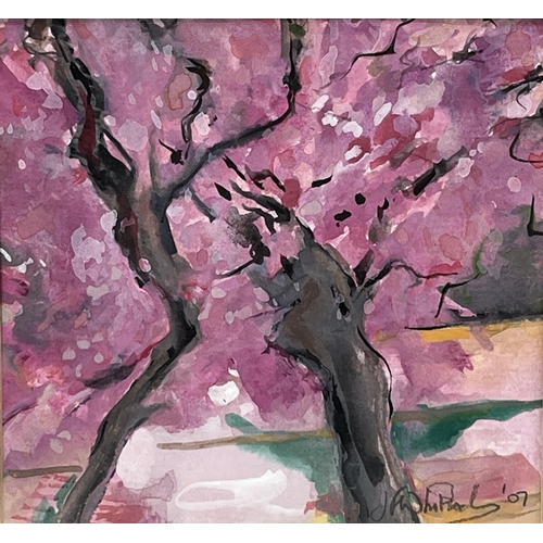 147 - * JIM WHITLOCK. BRITISH Bn. 1954. Cherry Blossom - Japan. Signed and dated '07. Gouache on paper 5½