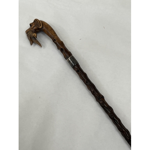 150 - An Edward VII blackthorn walking cane, the pommel carved as a glass eyed hound's head with gamebird,... 