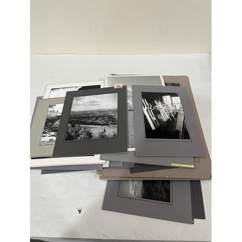 202 - A collection of mounted photographic prints.