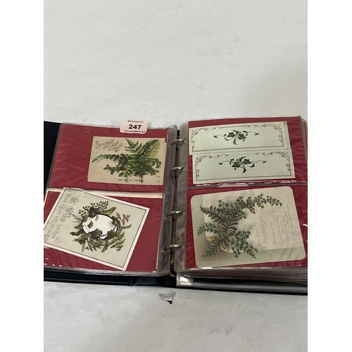 247 - An album of over 120 early 20th Century cards, all depicting ferns and other botanicals.