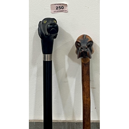 250 - An ebony walking cane, the carved dog head pommel with glass eyes, and one other.