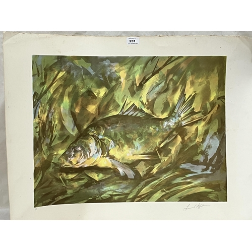 231 - LEONARD APPLEBEE. BRITISH 1914-2000. Fish study. Signed in pencil. Lithograph on paper 23