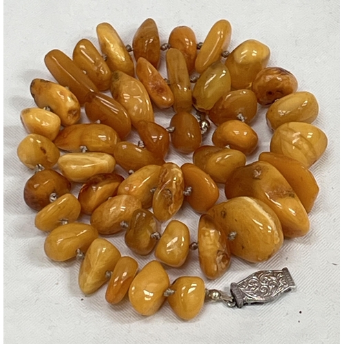 187 - A necklace of free-form amber beads with silver clasp. 20