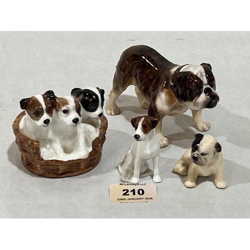 Lot 210       