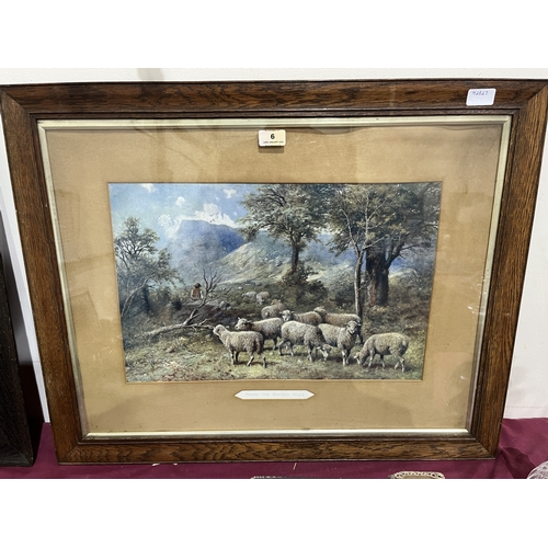 Lot 6         