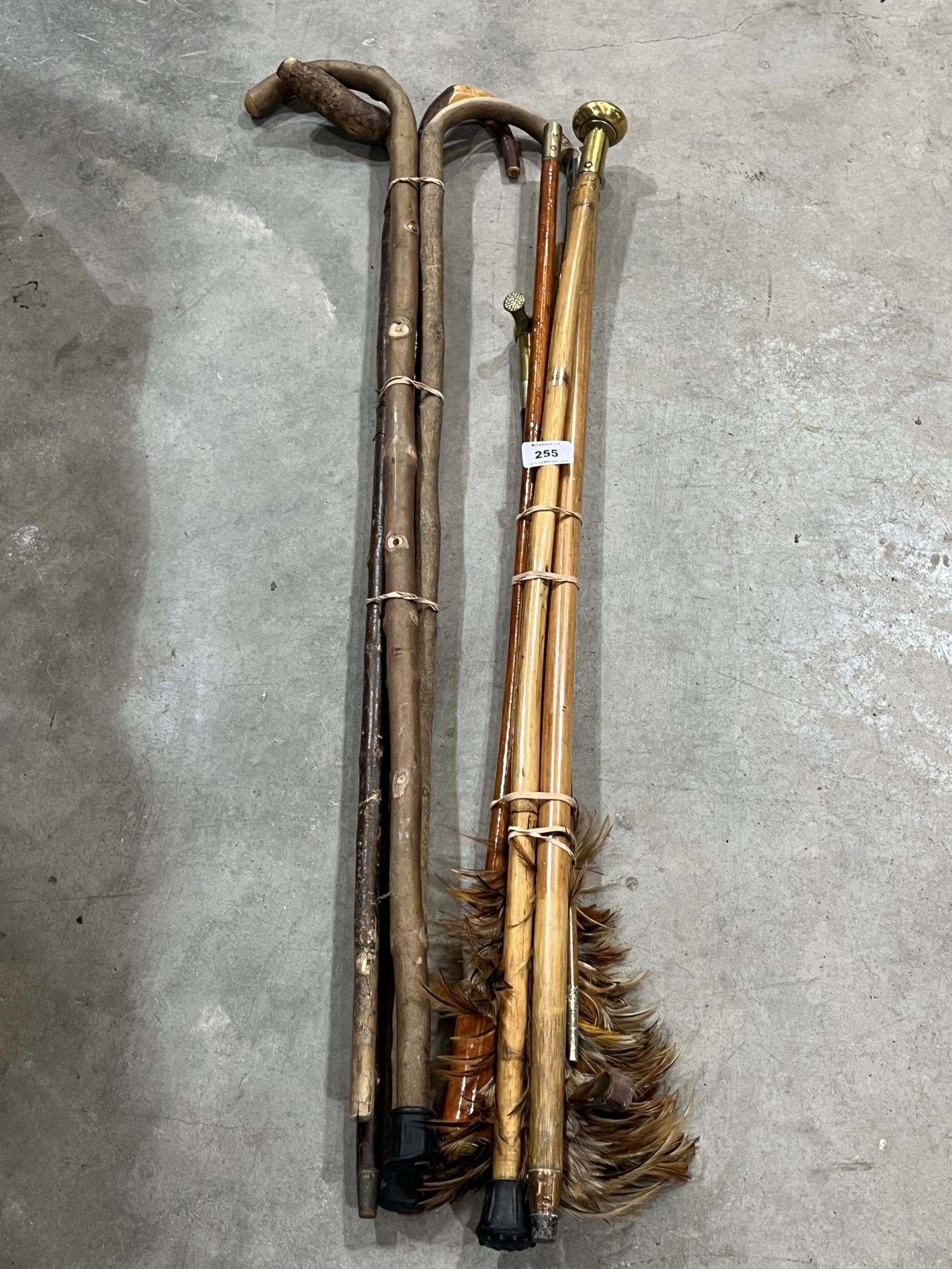 A collection of walking canes and sticks