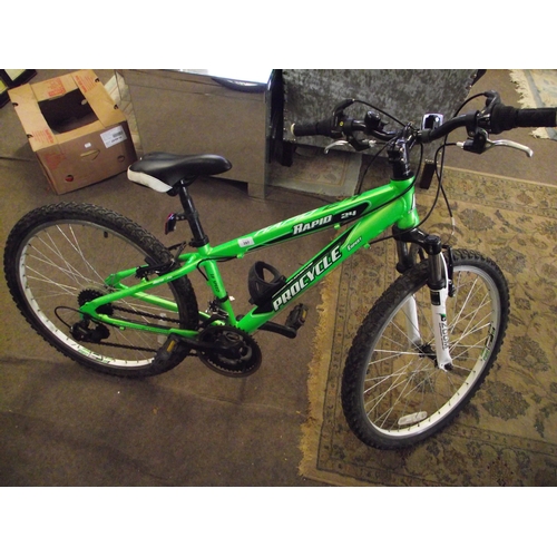 24 inch 2025 procycle rapid bike