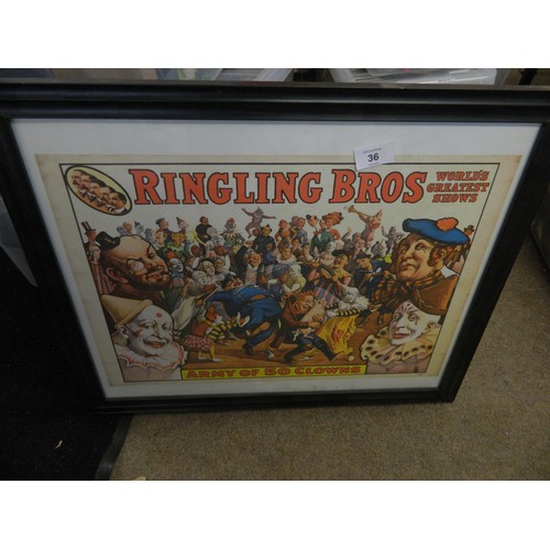 Lot 36        