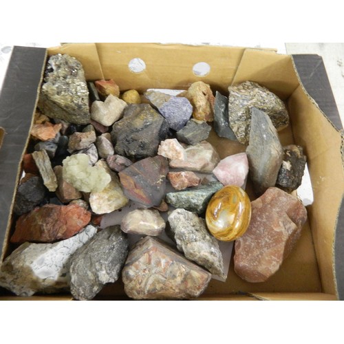 Lot 21        