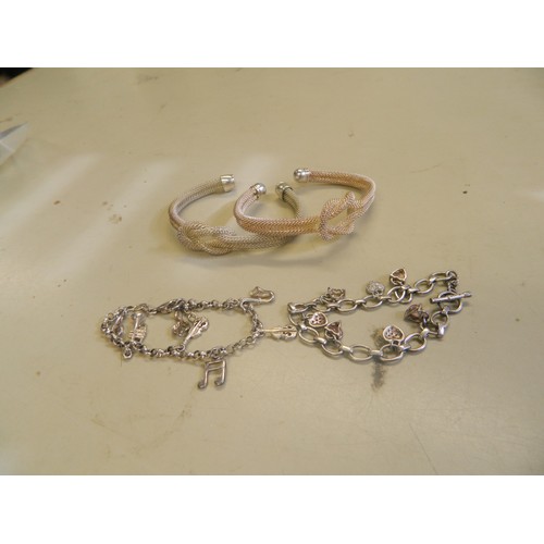 Lot 29        