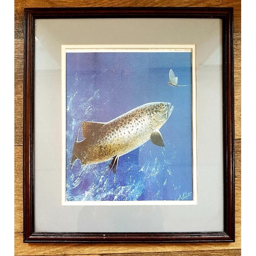 121 - 2 Framed and Glazed Angling-Related Prints of a trout chasing a mayfly and a leaping salmon