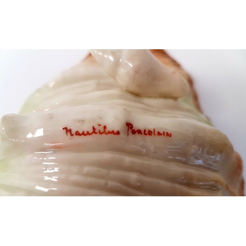 141 - A Nautilus Ivory Porcelain Hand-Painted Shell produced by McDougall & Sons of North East Glasgow bet... 