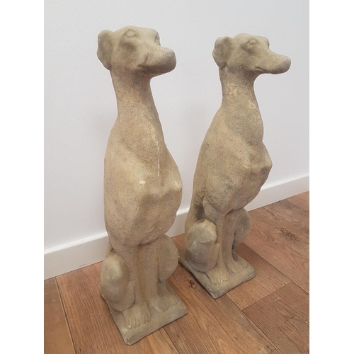 65 - Pair of cast concrete greyhound garden figures measuring 26 inches in height