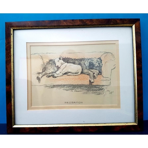 15 - Set of 3 Cecil Aldin titled Dog Prints 12cm x 17cm, Probation, Amalgamation and Reconciliation 11 in... 