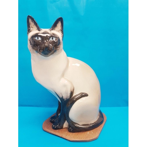 53 - Rare Large Vintage 1960s Seneshall Pottery Persian Cat in Seated Position on wooden plinth