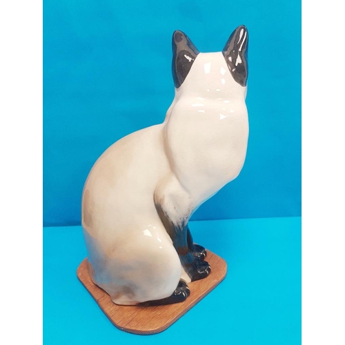 53 - Rare Large Vintage 1960s Seneshall Pottery Persian Cat in Seated Position on wooden plinth