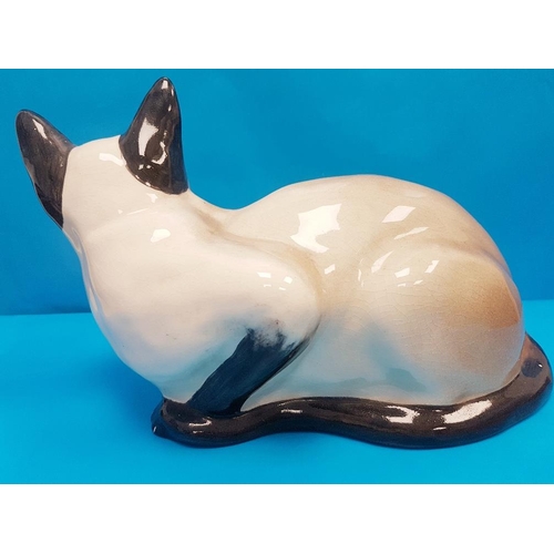 56 - Rare Vintage 1960s Seneshall Pottery Persian Cat