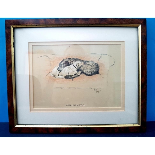 15 - Set of 3 vintage Cecil Aldin titled Dog Prints 12cm x 17cm, Probation, Amalgamation and Reconciliati... 