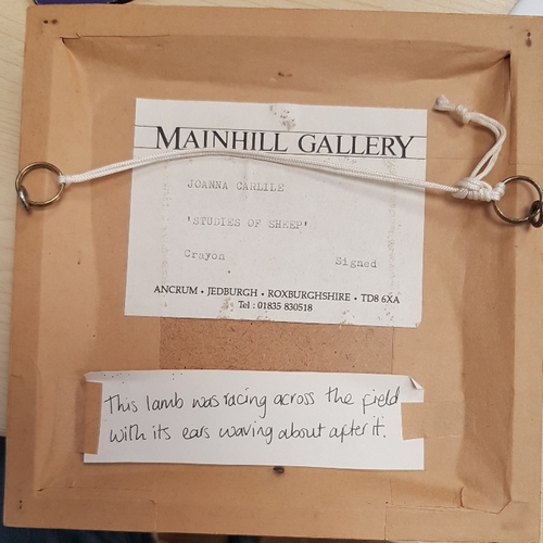 111 - Joanna Carlile 1996 original framed, glazed and signed study of a sheep.  Measures 7 inches x 7 inch... 