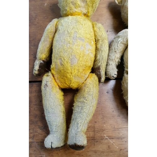 49 - Two Vintage Teddy Bears, including one with Growler.  Requiring attention.