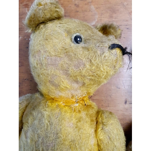 49 - Two Vintage Teddy Bears, including one with Growler.  Requiring attention.