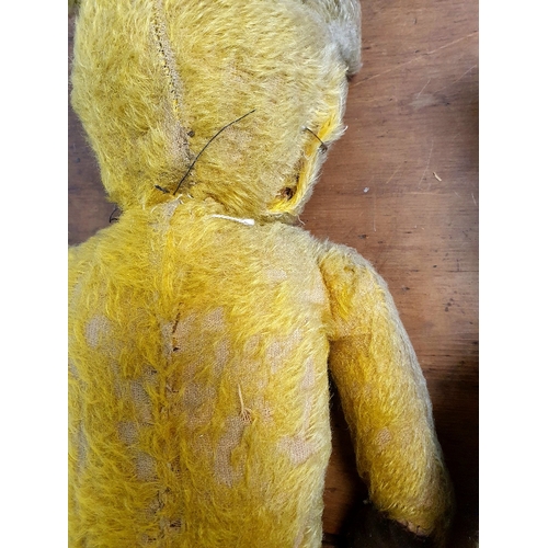 49 - Two Vintage Teddy Bears, including one with Growler.  Requiring attention.