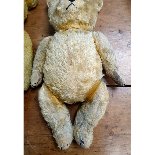 49 - Two Vintage Teddy Bears, including one with Growler.  Requiring attention.