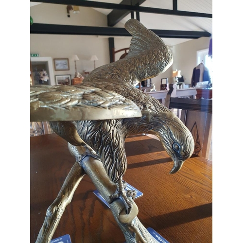 52 - Brass Statue of an Eagle with Wings Spread, 60cm in width