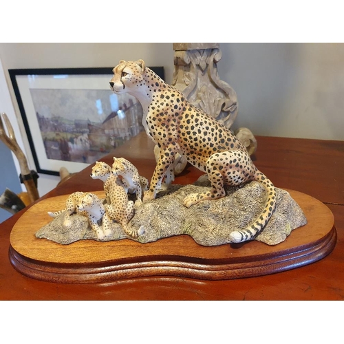 Lot 126       