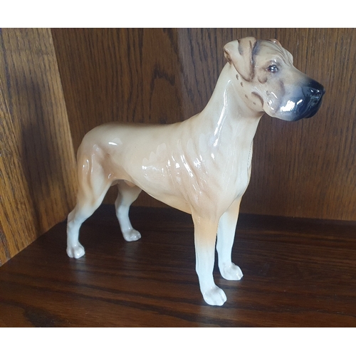 Beswick Great Dane Figurine Titled Ch Ruler Of Ouborough