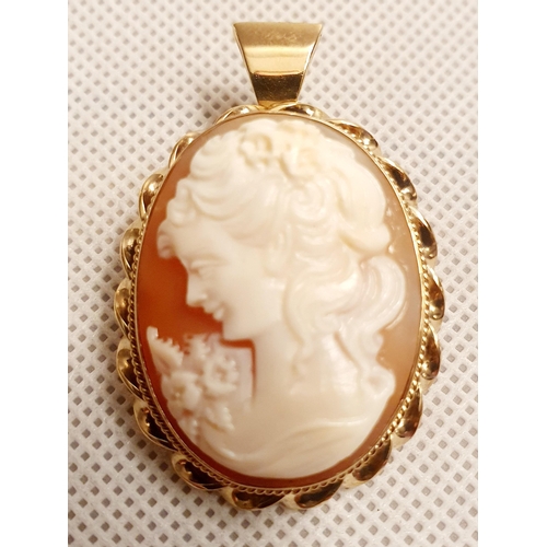 18 - 9ct Gold Cameo Bar Pendant